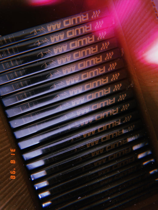 RWD - AAA - Access All Artists DVD